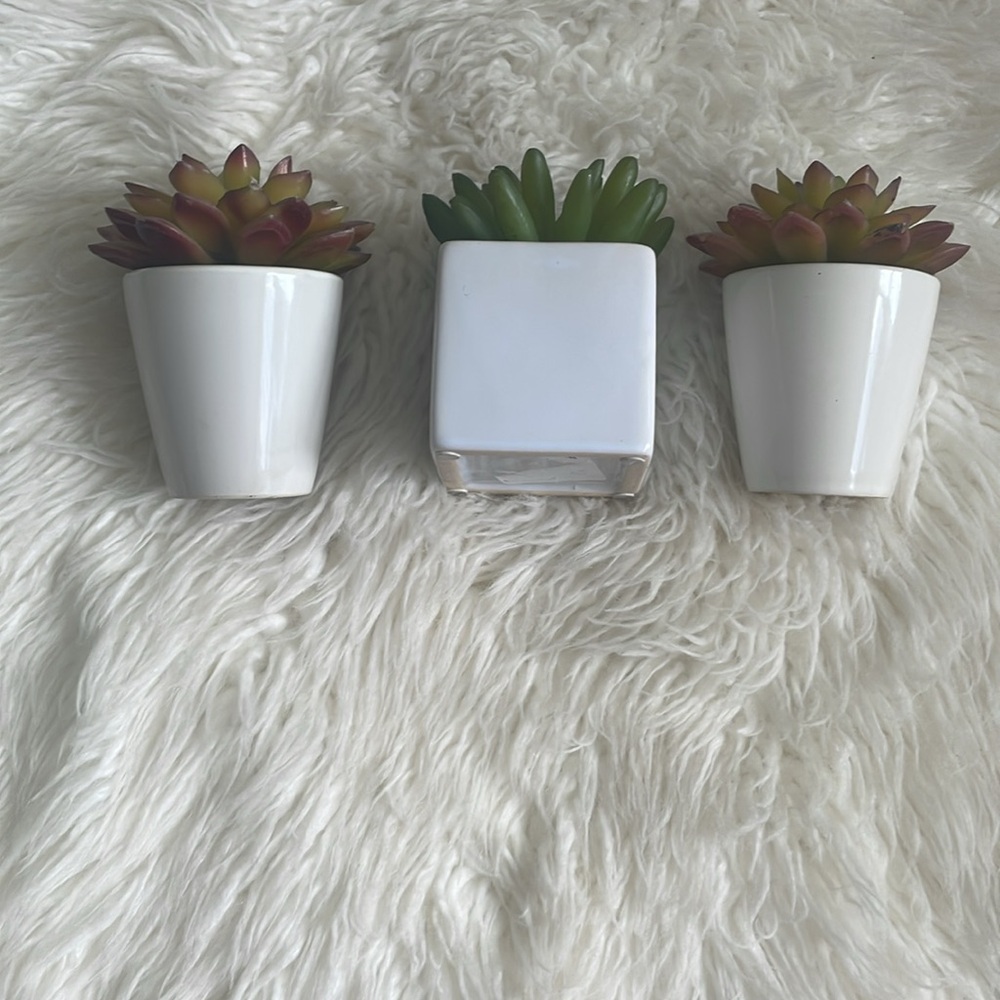 Small Fake Plants - Picture 5 of 8
